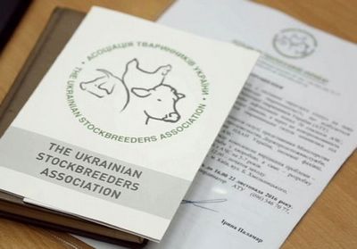 2016 Год стал для аграриев украины серьезным испытанием