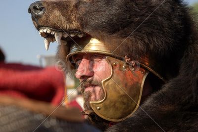 Фракция медвежьих шуб в новосибирской области
