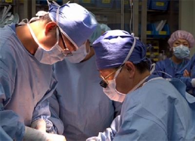 Казахстан и южная корея намерены развивать сотрудничество в области трансплантологии