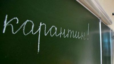 Школы кыргызстана закрыли на карантин из-за вспышки орви