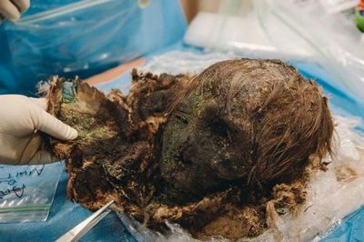 Тюменские ученые и их коллеги из сеула изучают ямальскую мумию