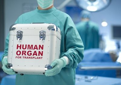 В израиле зарегистрировано рекордное количество операций по пересадке органов