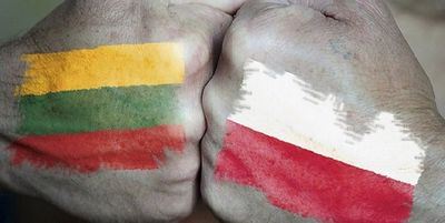 Варшава и вильнюс обменялись «уколами» из-за польского нацменьшинства в литве - «общество»